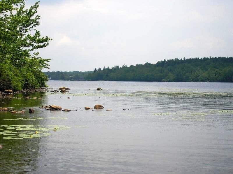 Location Pocono Summit PA