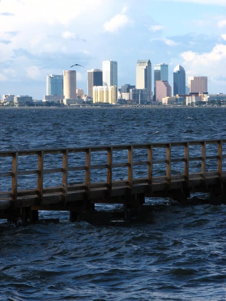 Location Tampa FL
